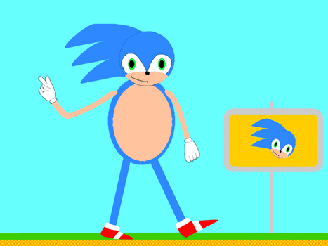 Sonic T Hedgehog