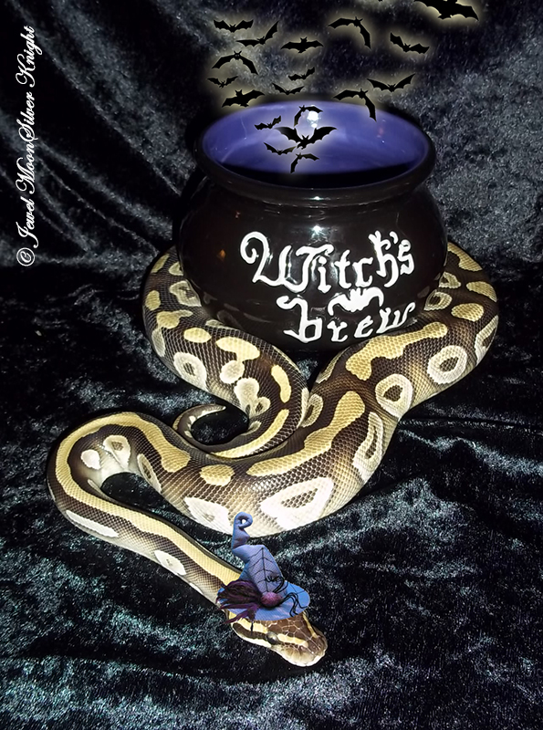 LILITH THE WITCH