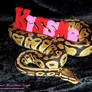 KISSES FOR MEDUSA!