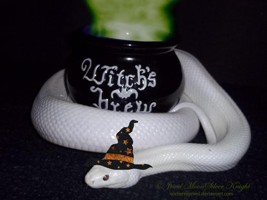 CRESCENT'S WITCHY BREW 2