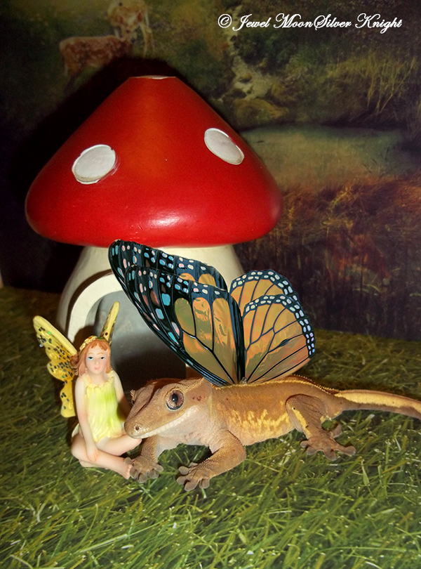 TRUFFLE THE GECKO-FAIRY