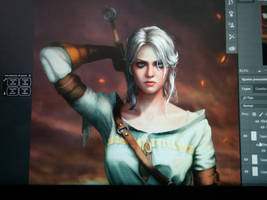 Ciri Wip