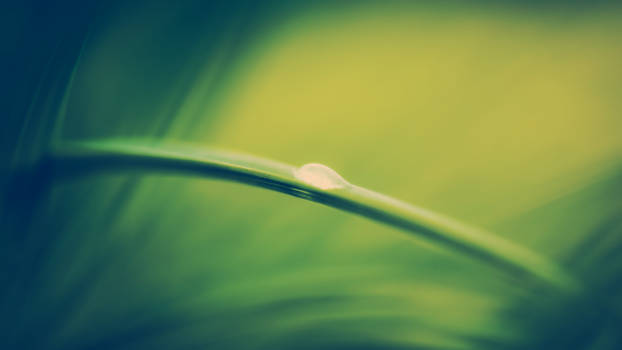 Dewdrop