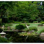 Japanese Garden