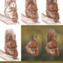 Red Squirrel Step-By-Step