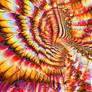 Headworm