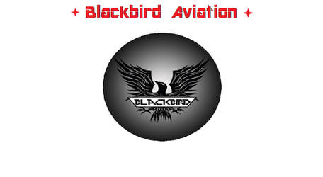 Blackbird Aviation