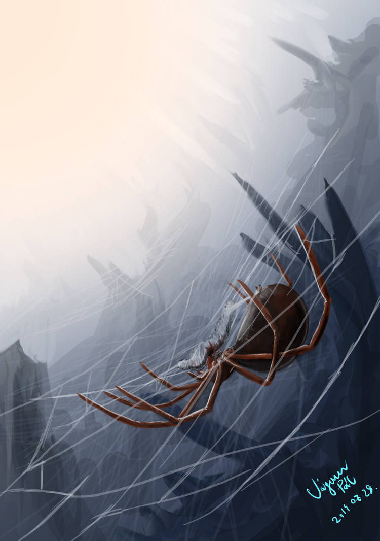 Spider Insect Deviantart Spider by Pdaemon on DeviantArt