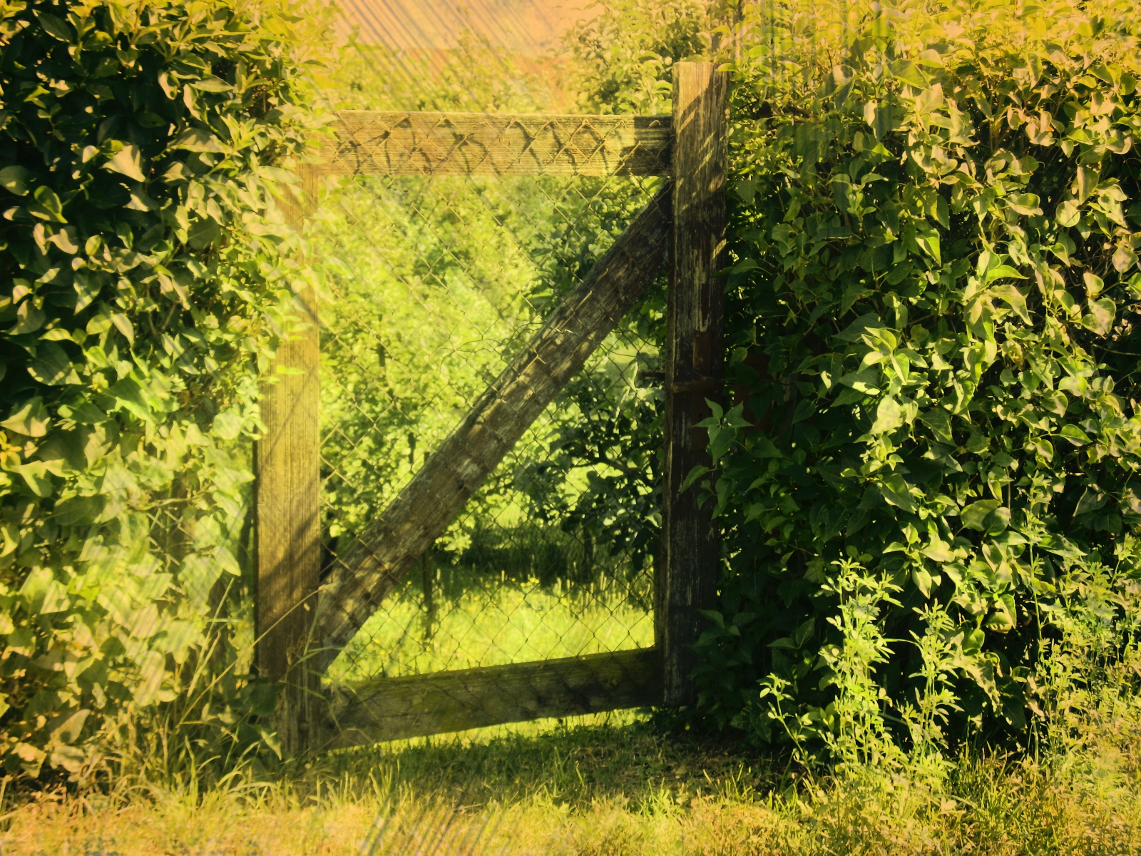 Free stock * Garden gate * for manips!