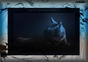 quiet paws they come like messengers of silence