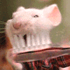 don't forget to brush your teeth, lol