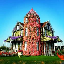 Dubai Miracle Garden 2