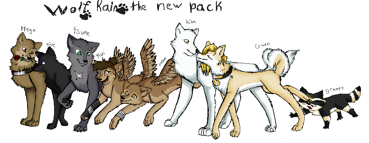 wolfs rain the  new pack