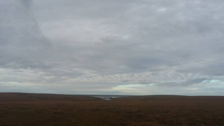 Alaskan Landscape