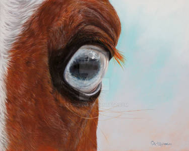 Horse's Blue Eye - soft pastel