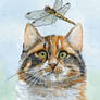 Calico cat and dragonfly