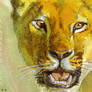 ACEO Spirit of Lioness