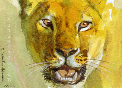 ACEO Spirit of Lioness