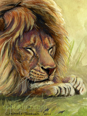 ACEO Resting Lion