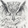 OWL oswoa