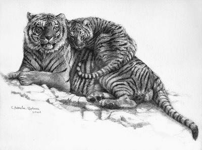 Tiger and Cub