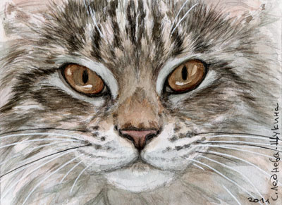 ACEO Young Tabby Cat