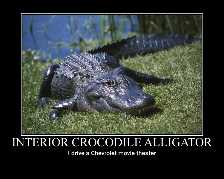 Interior Crocodile Alligator By Darkfaust90 On Deviantart Interior Crocodile Alligator By Darkfaust90 On Deviantart