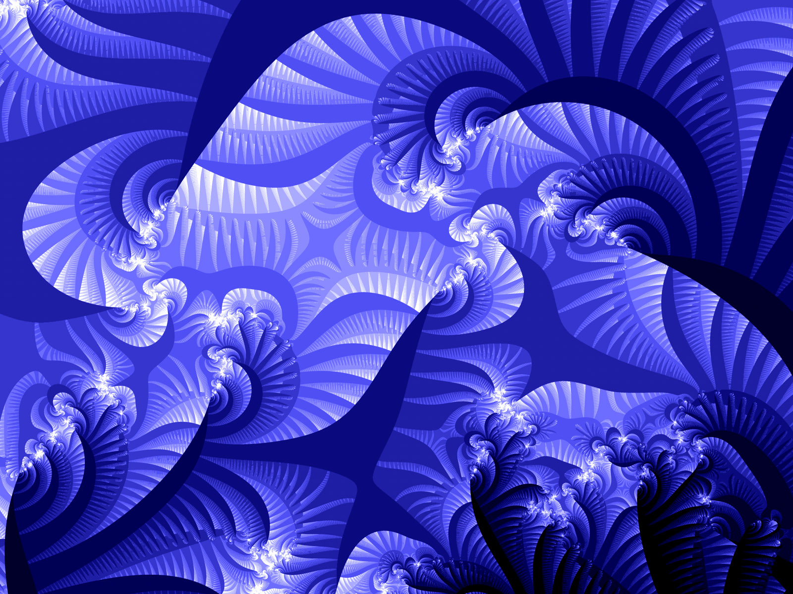 Fractal Fern