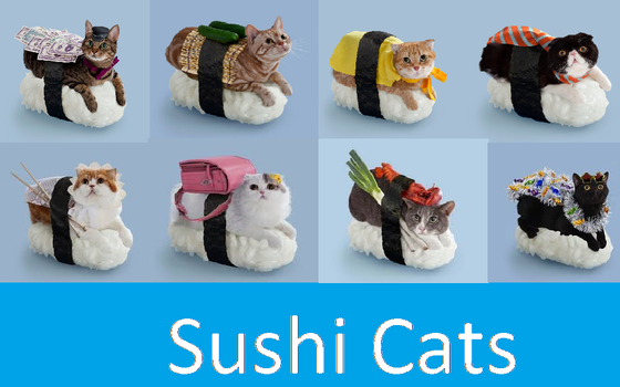 Sushi Cats