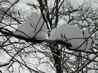 Wintertime in Karlsruhe, Ger