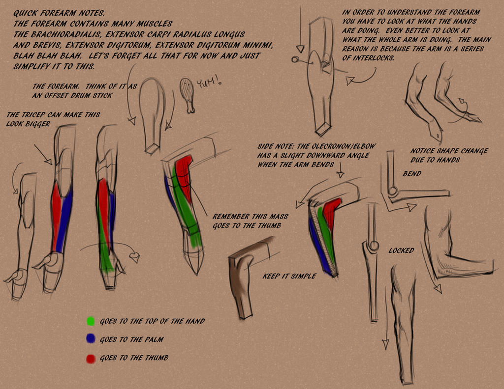 Empty Forearm Intro to Forearm by BADARTHELPCENTER on DeviantArt