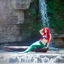 Ariel - The Little Mermaid