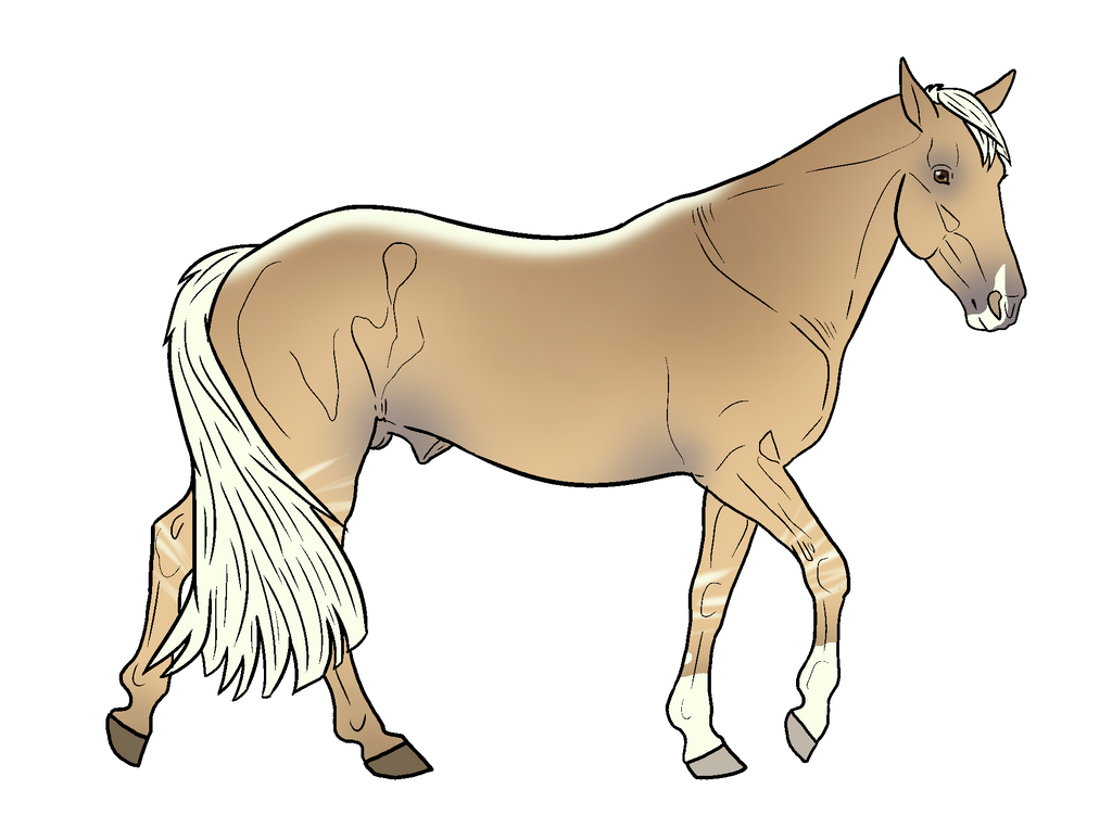 Silver Ridge Stables' Chivas by ValiantShadow on DeviantArt