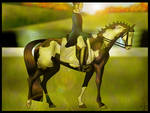 In The Meadows || Oak Brooke's Dressage Class by ValiantShadow