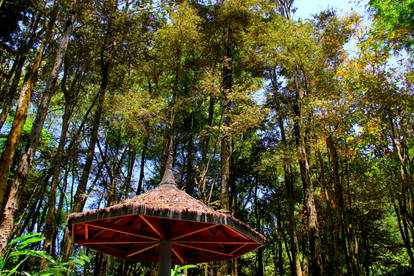 Tahura's Gazebo