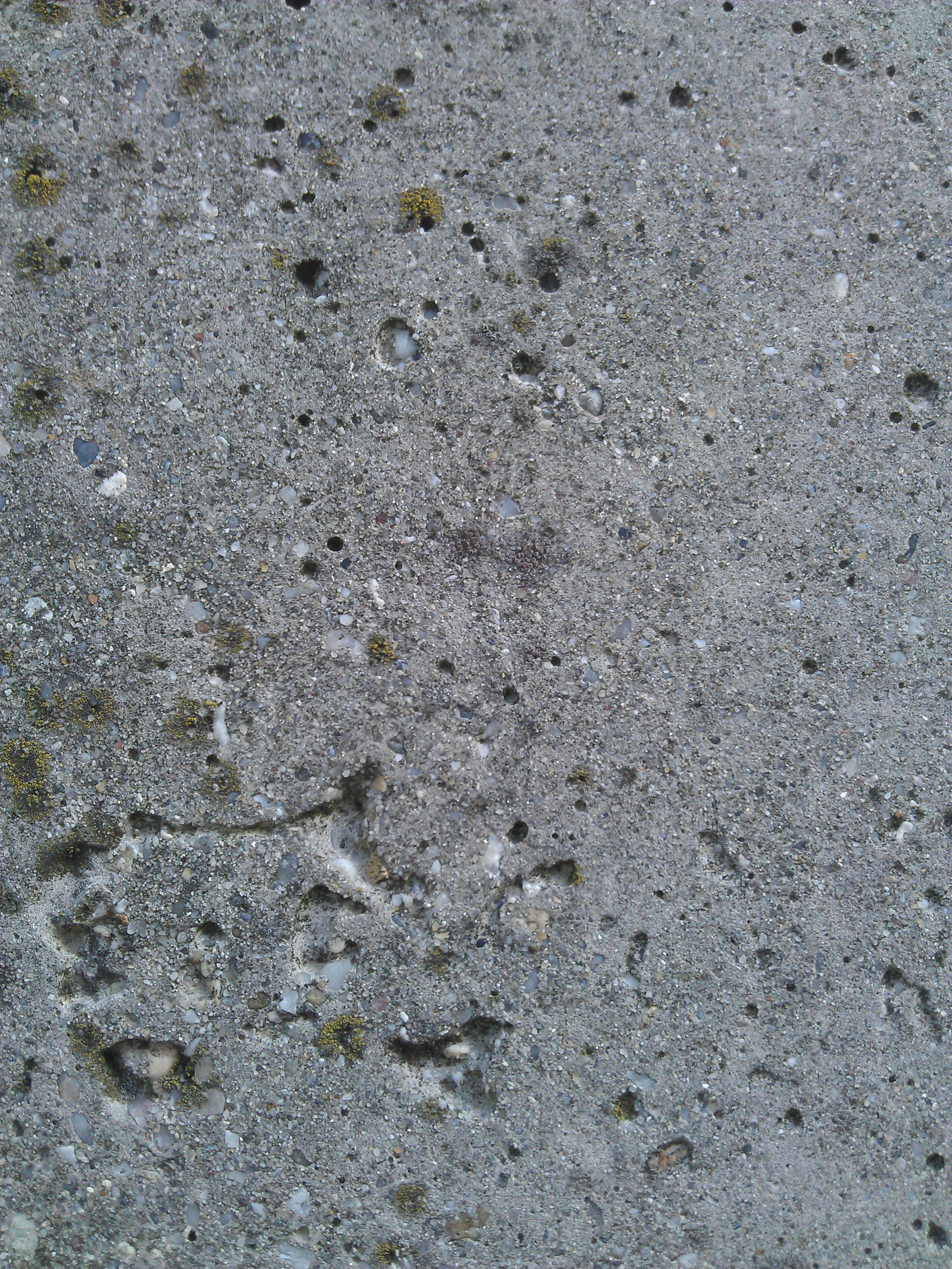 Concrete texture4