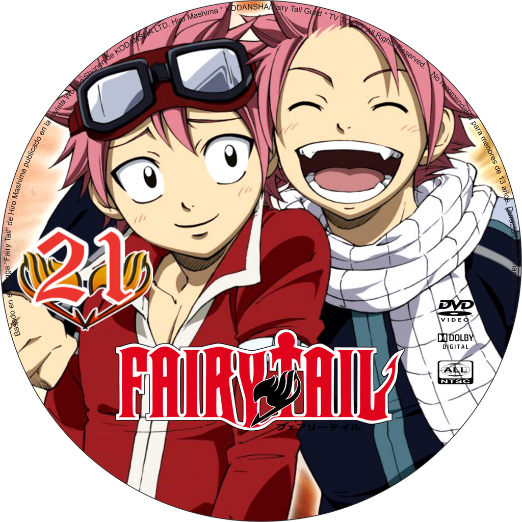 Fairy Tail DVD - 21