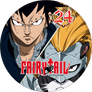 Fairy Tail DVD - 24