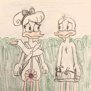 NBK: Donald and Daisy