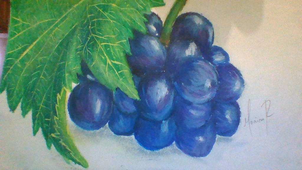 Grapes Drawing