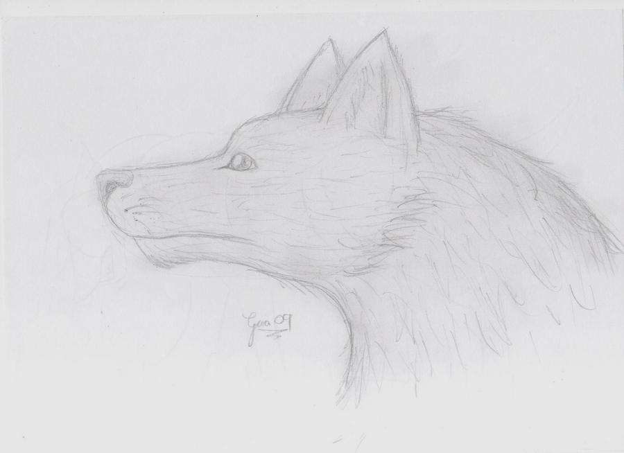 Realistic Wolf by meroaw on DeviantArt