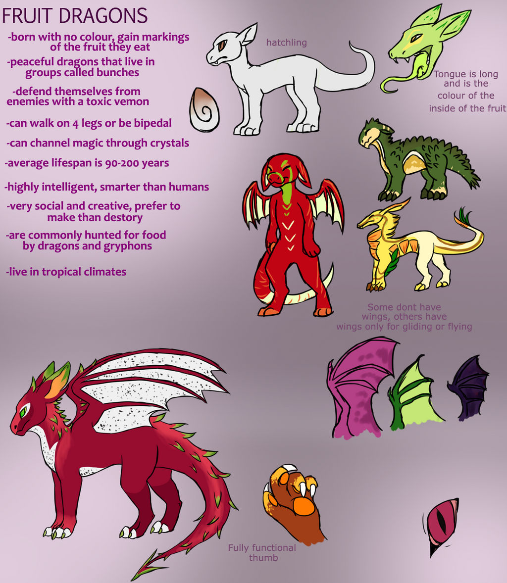 FRUIT DRAGONS SPECIES REFERENCE