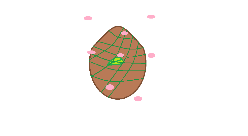 Egg 2