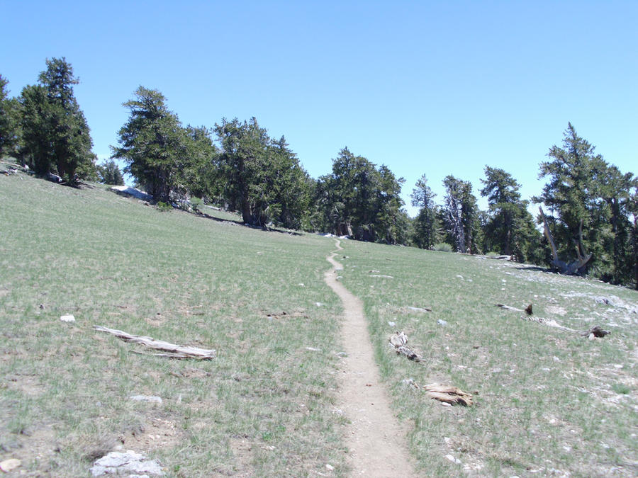 Mike Rae Trail the Trail by MikeJuice on DeviantArt
