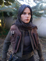 Jyn Erso Hot Toys Figure