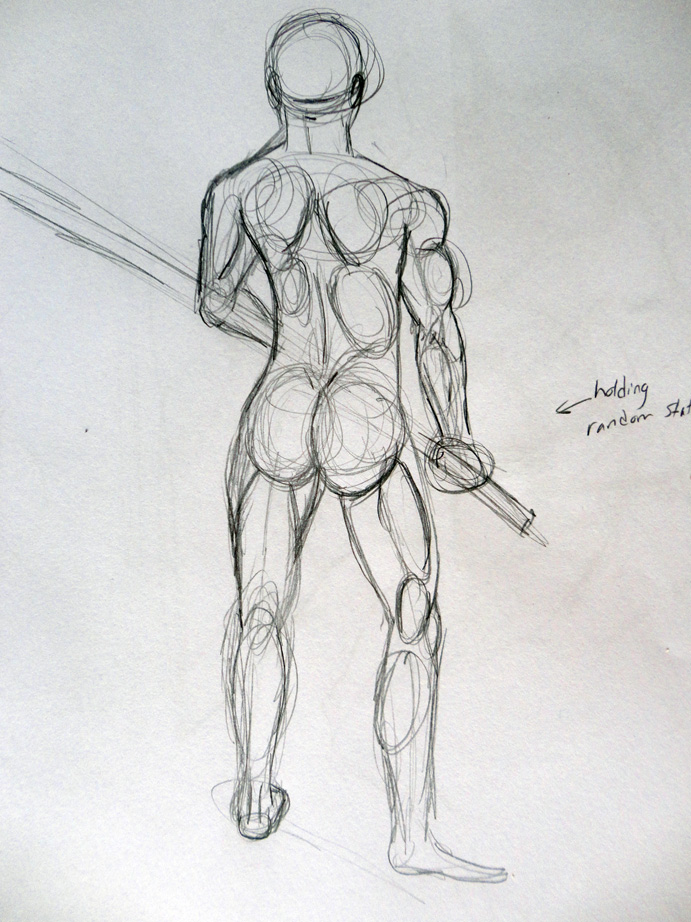 Human Anatomy Study