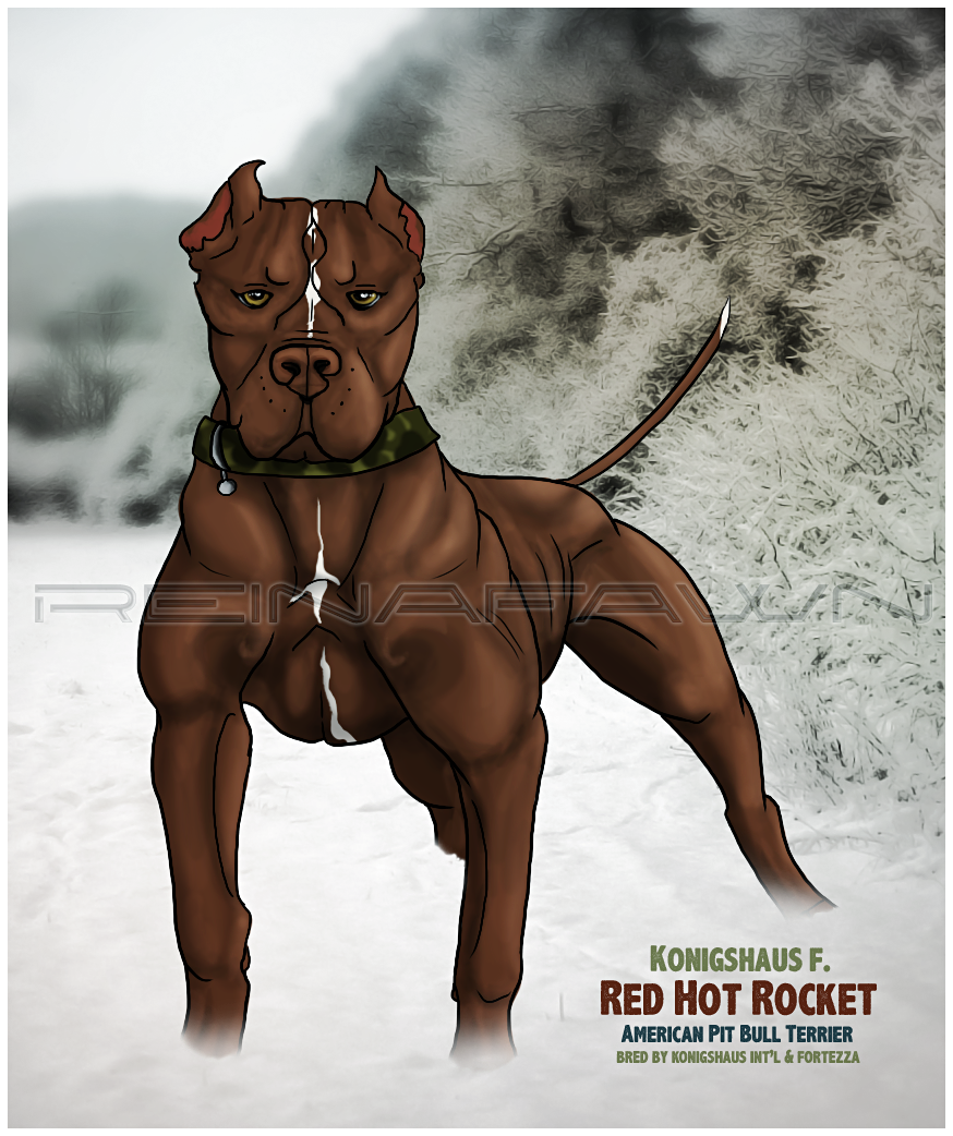 Red Hot Rocket