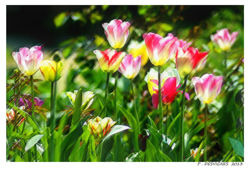 tulips painting effect