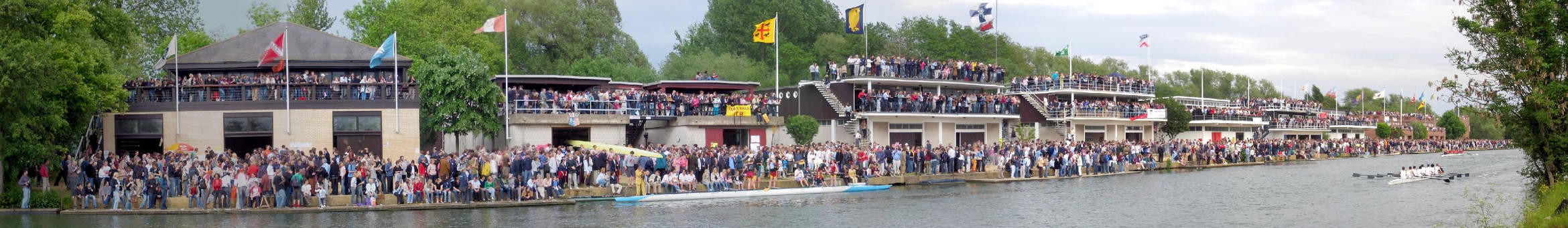 Summer Eights Panorama