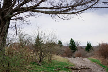 Grayson Highlands Park